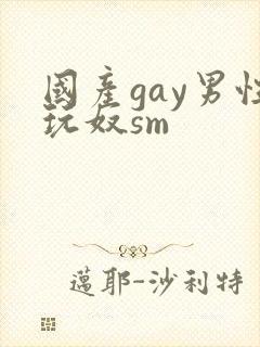 国产gay男性玩奴sm