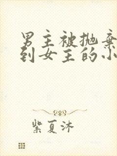 男主被抛弃后遇到女主的小说封面