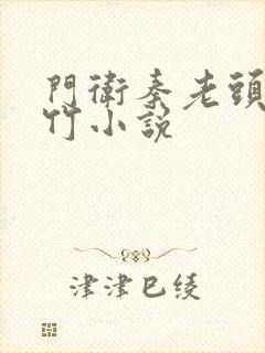 门卫秦老头付攸竹小说封面