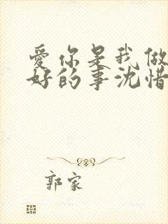 爱你是我做过最好的事沈惜凡封面