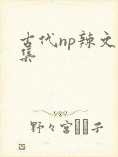 古代np辣文合集