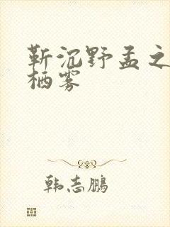 靳沉野孟之瑶唐栖雾封面