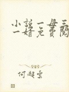 小说一母三女共一婿免费阅读