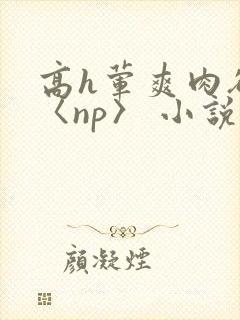 高h荤爽肉欲文〈np〉 小说