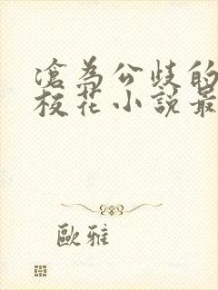 沧为公歧的清纯校花小说最新章节