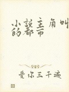 小说主角叫叶凡的都市封面