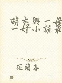 胡本兴一母四女一婿小说最新章节更