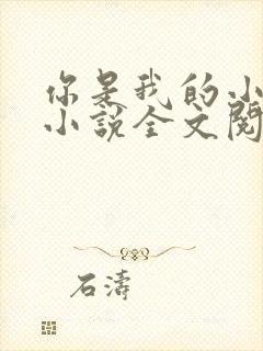 你是我的小确幸小说全文阅读封面