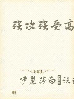 强攻强受高h文