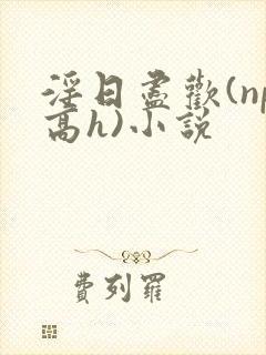 淫日尽欢(np高h)小说