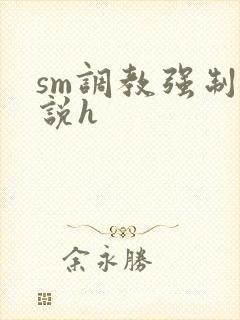 sm调教强制小说h封面