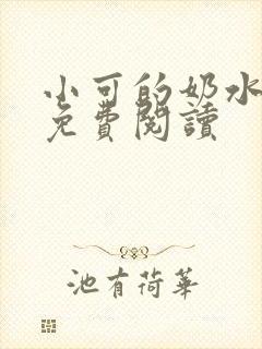 小可的奶水全文免费阅读