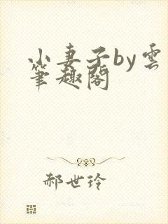 小妻子by云间笔趣阁封面