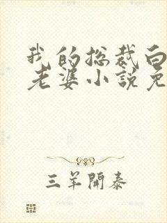 我的总裁白富美老婆小说免费读