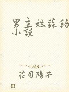 男主姓苏的现代小说
