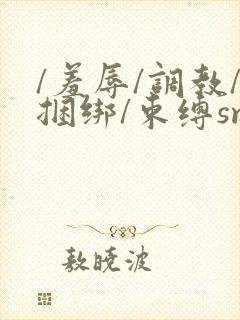 /羞辱/调教/捆绑/束缚sm文