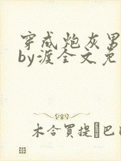 穿成炮灰男妻后by渡全文免费