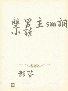双男主sm调教小说