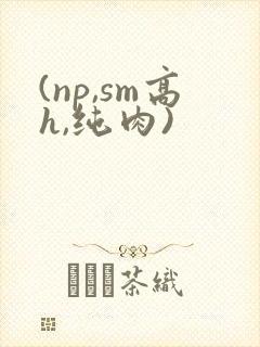 (np,sm高h,纯肉)封面