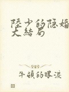 陆少的隐婚罪妻大结局封面