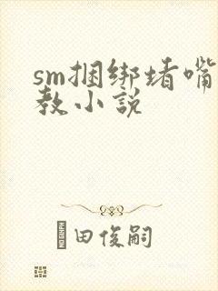 sm捆绑堵嘴调教小说