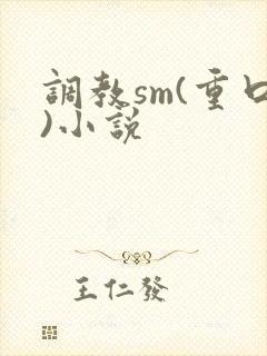 调教sm(重口)小说封面