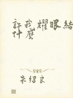 许我耀眼结局是什么