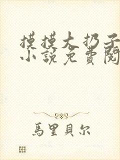 摸摸大扔子原著小说免费阅读