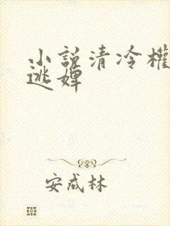 小说清冷权臣的逃婢