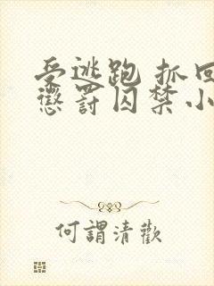 受逃跑 抓回 惩罚囚禁小说