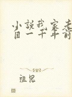 小说我家老婆来自一千年前免费看封面