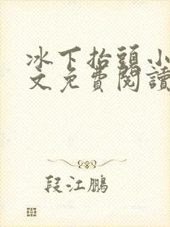 冰下抬头小说全文免费阅读最新章节封面