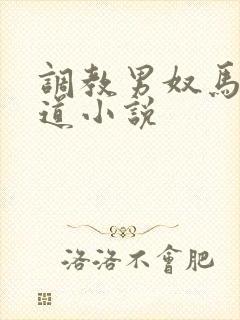 调教男奴马眼尿道小说封面