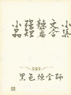 小强辣文小说精品短篇合集封面