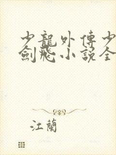 少龙外传少年龙剑飞小说全文