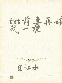 txt前妻再嫁我一次