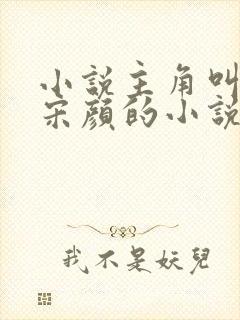 小说主角叫楚尘宋颜的小说