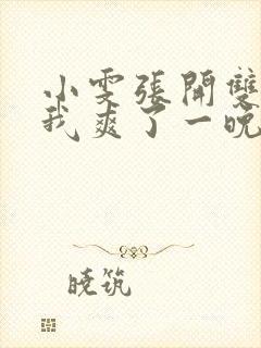 小雯张开双腿让我爽了一晚上