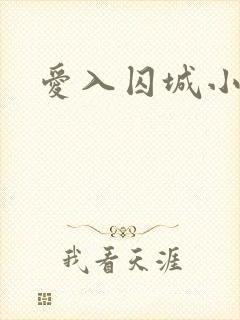 爱入囚城小说