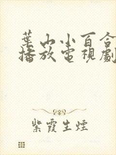 叶山小百合在线播放电视剧免费妈妈