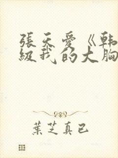 张天爱《韩国三级我的大胸女》封面