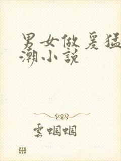 男女做爰猛烈高潮小说