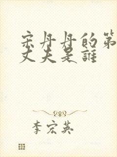 宋丹丹的第二任丈夫是谁