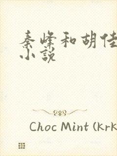 秦峰和胡佳芸的小说