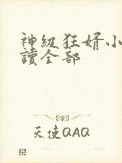 神级狂婿小说阅读全部