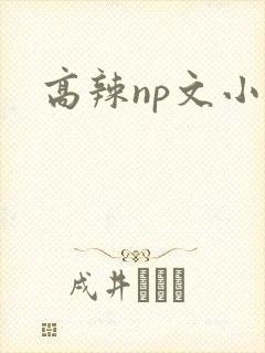 高辣np文小说