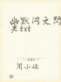 幽默网文闪闪发光txt