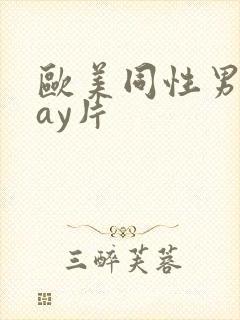 欧美同性男男gay片封面