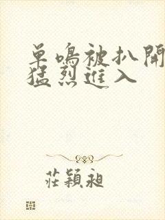 单鸣被扒开双腿猛烈进入封面