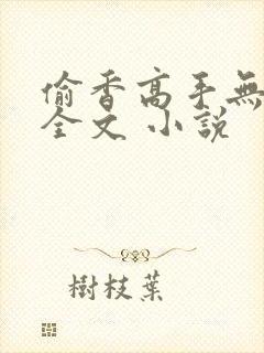 偷香高手无删减全文 小说